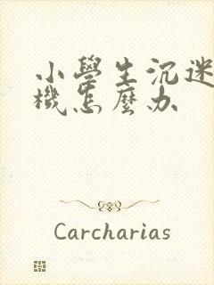 小学生沉迷于手机怎么办