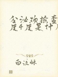 分泌物检查清洁度4度是什么意思