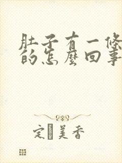 肚子有一条硬硬的怎么回事