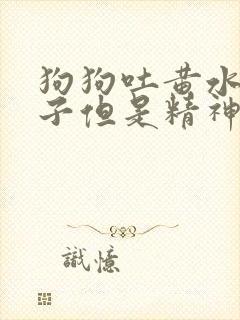 狗狗吐黄水拉肚子但是精神好