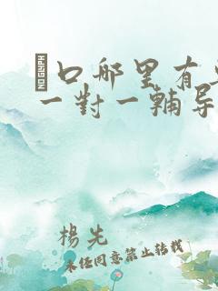 硚口哪里有专门一对一辅导机构