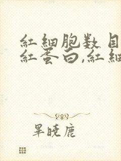 红细胞数目,血红蛋白,红细胞压积都偏低