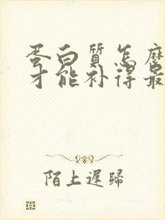 蛋白质怎么补充才能补得最快