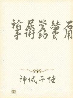 输尿管结石硬镜手术的费用