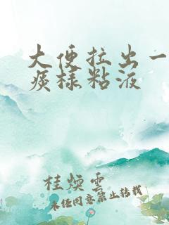 大便拉出一团血痰样粘液