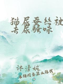 猫尿蚕丝被怎么去尿骚味