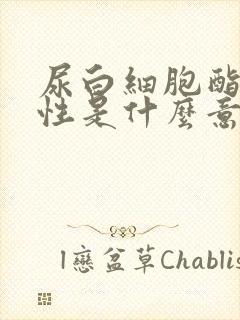 尿白细胞酯酶阳性是什么意思