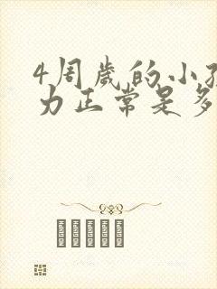 4周岁的小孩视力正常是多少