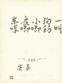 半夜小狗一直哼哼唧唧的叫是什么原因