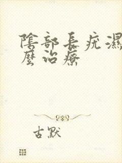 阴部长疣湿了怎么治疗