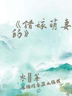 《错嫁萌妻包甜的》