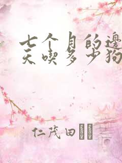 七个月的边牧一天吃多少狗粮