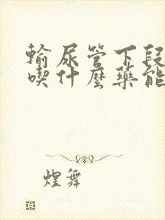 输尿管下段结石吃什么药能排出结石