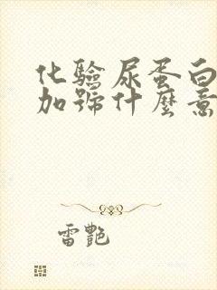 化验尿蛋白3个加号什么意思