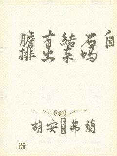 胆有结石自己能排出来吗