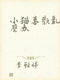 小猫喜欢乱尿怎么办