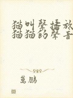 猫叫声播放猫叫猫猫的声音