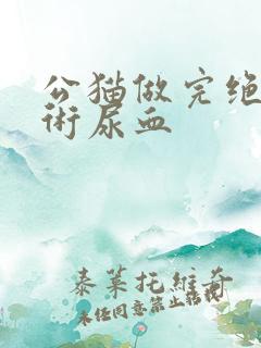 公猫做完绝育手术尿血