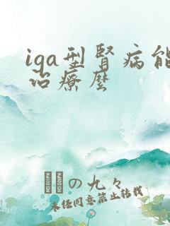 iga型肾病能治疗么