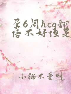 孕6周hcg翻倍不好但是在涨