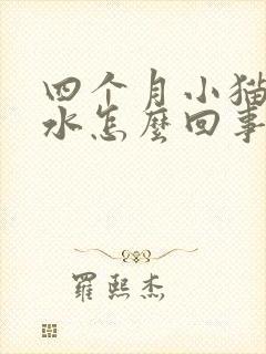 四个月小猫吐黄水怎么回事