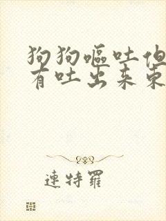 狗狗呕吐但是没有吐出来东西