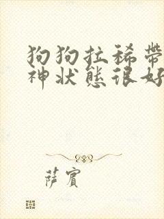 狗狗拉稀带血精神状态很好