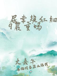 尿常规红细胞19严重吗