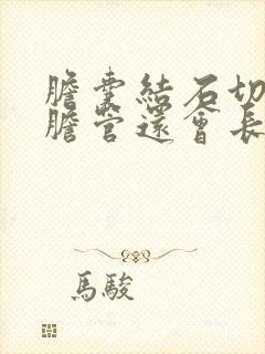 胆囊结石切除后胆管还会长结石吗