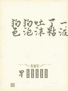 狗狗吐了一滩白色泡沫粘液方法