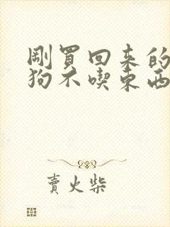 刚买回来的小狗狗不吃东西怎么办