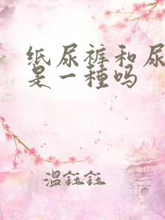 纸尿裤和尿不湿是一种吗