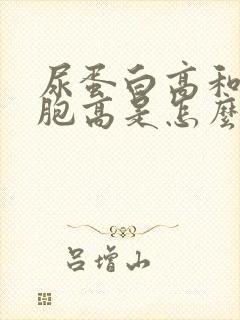 尿蛋白高和白细胞高是怎么了