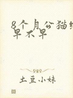 8个月公猫绝育早不早