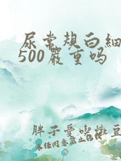 尿常规白细胞2500严重吗