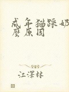 成年猫踩奶是什么原因