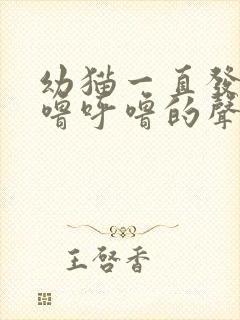 幼猫一直发出呼噜呼噜的声音是什么原因