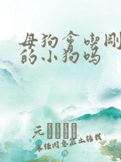 母狗会吃刚出生的小狗吗