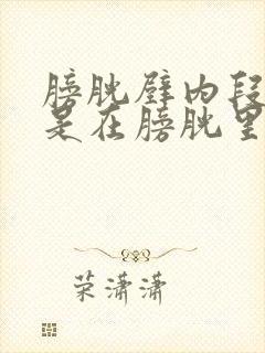 膀胱壁内段结石是在膀胱里吗