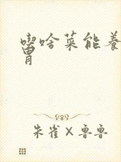 吃啥菜能养胃护胃