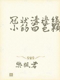 冠状沟边缘有很小的白色颗粒