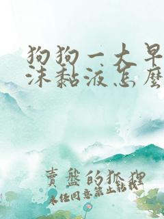 狗狗一大早吐白沫黏液怎么办