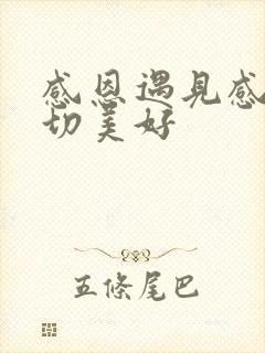 感恩遇见感恩一切美好