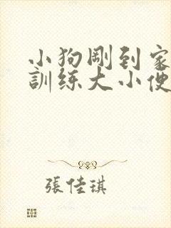 小狗刚到家怎么训练大小便