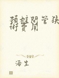 颈椎间管狭窄手术费用