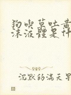 狗吃草吐黄色泡沫液体是什么原因