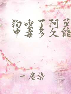 狗吃了阿莫西林中毒多久能好