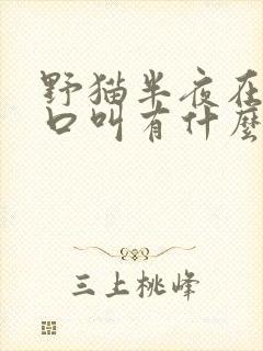 野猫半夜在家门口叫有什么预兆