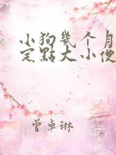 小狗几个月训练定点大小便