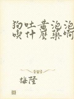 狗吐黄泡泡可以吃什么药啊